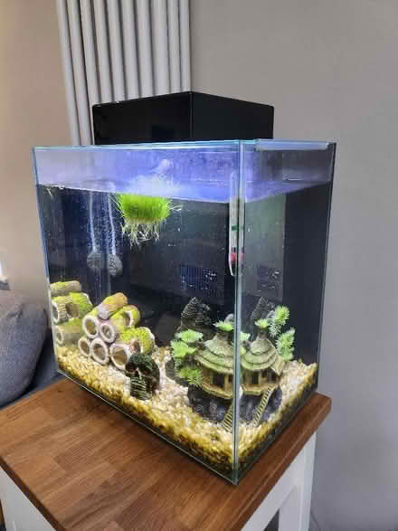 Photo of free Aquarium tank and accessories (Bowdon WA14) #2