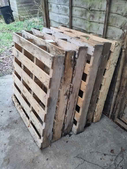 Photo of free 6 wooden pallets (Bridle Lane, DE5) #1