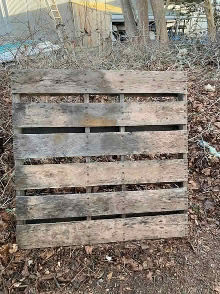 Photo of free Large Heavy Pallet (South Dartmouth) #1