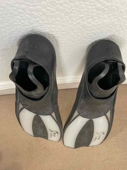 Photo of free Fins / flippers sized UK 3.5-4.5 (Purley CR8) #4