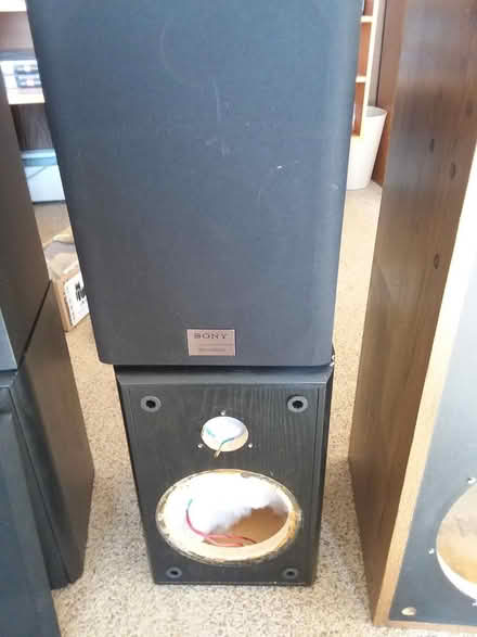 Photo of free Speaker cabinets (King of Prussia) #3