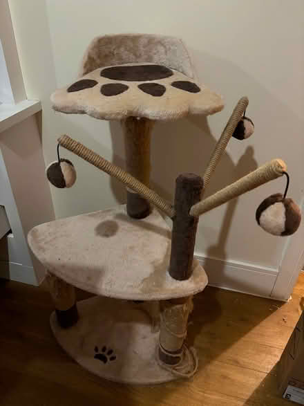 Photo of free Cat scratching post (W7) #1