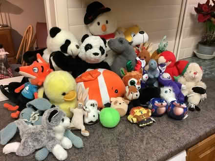 Photo of free Bag of Soft Toys (one of the Panda’s is a backpack) (The Plantation GL5) #1