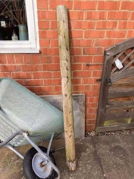 Photo of free Used tannelised garden pole, 5 ft. (Hereford HR1) #1