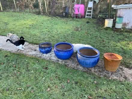 Photo of free Collection of garden pots (Cherhill SN11) #3