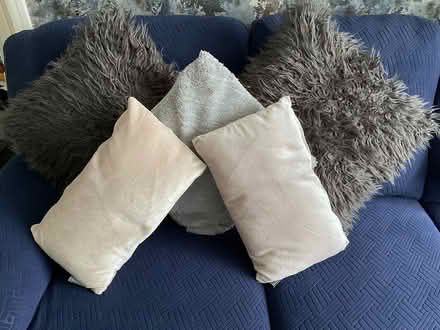 Photo of free 5 cushions (stockport SK3) #1