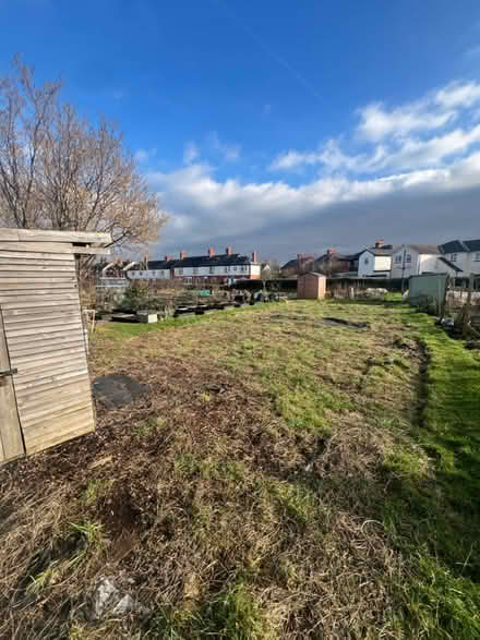 Photo of Roof felt/ allotment stuff (Belle vue Shrewsbury) #1