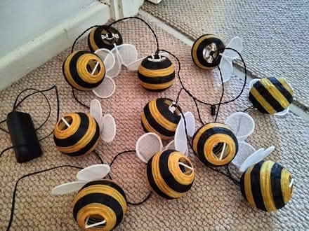 Photo of free Set of bumble bee lights (B47) #1