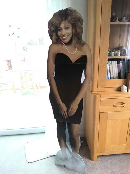 Photo of free Tina Turner lifesize cutout (Shelton SY3) #1