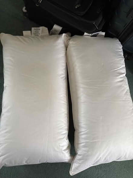 Photo of free Kingsize feather pillows (Cairneyhill KY12) #1