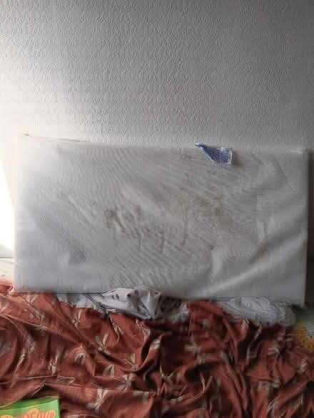 Photo of free Baby cot mattress (Woodside TF7) #2