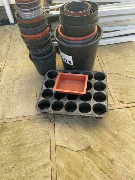 Photo of free Plastic plants pots (GL11) #1