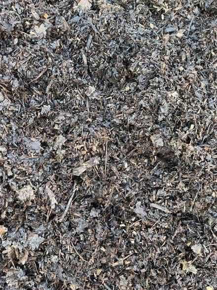 Photo of free Woodchip mulch (Stretham CB6) #2