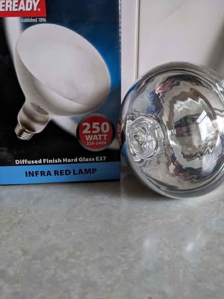 Photo of free Infra red light bulb (Bashall Eaves BB7) #1