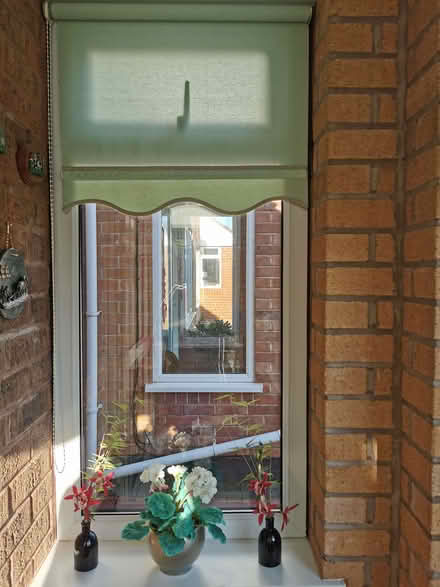 Photo of free Porch Blinds Green (Brandwood End B14) #1