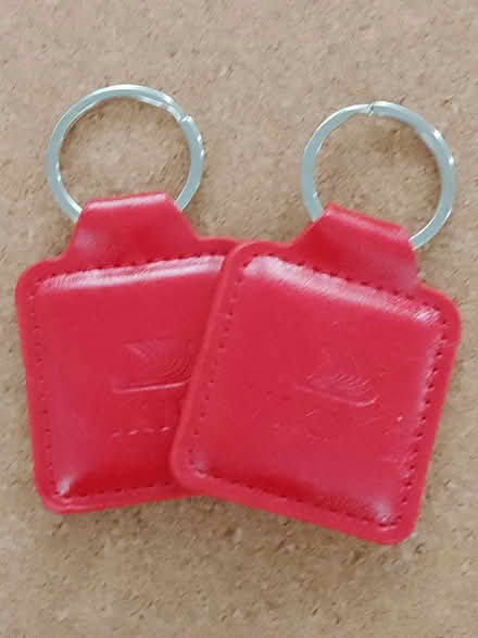 Photo of free Key rings (HP1 2BP) #1