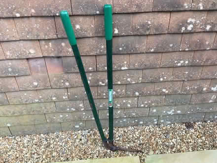 Photo of free Garden loppers (cranbrook) #1