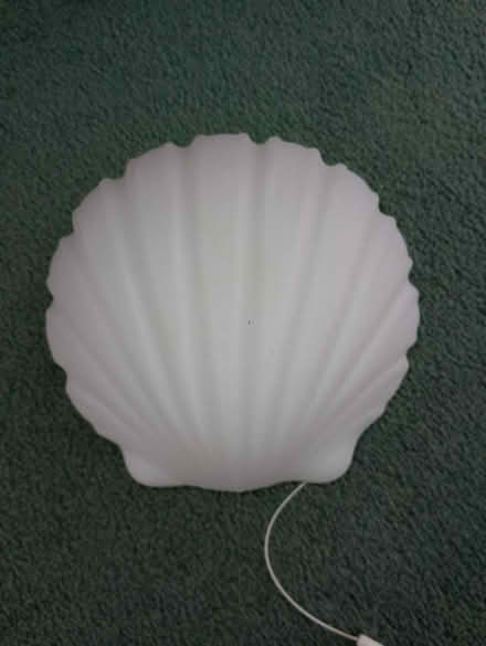 Photo of free Shell wall light with pull cord (TN34 - top of Elphinstone Road) #1