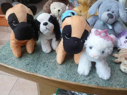 Photo of free Collection of 12+ Soft Toys (Moreton CH46) #1