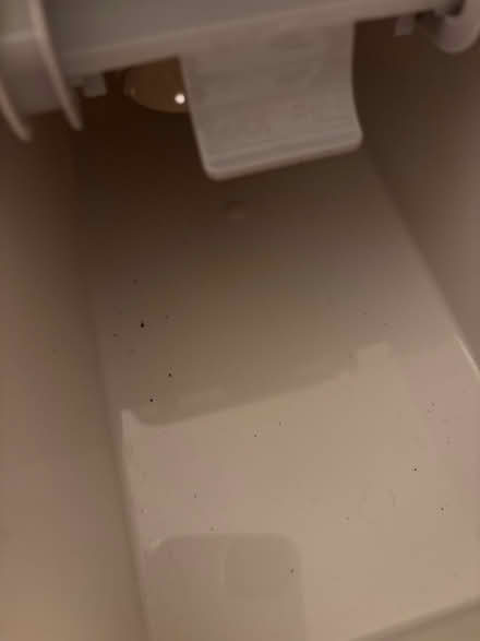 Photo of free Brita Filter Dispenser (Takoma Park) #2