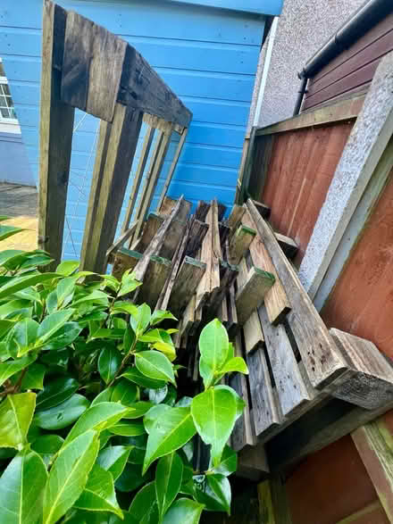 Photo of free Wooden Pallets (L18) #1