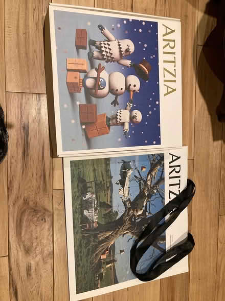 Photo of free Aritzia gift box and bag (Derry and Tenth Line) #1