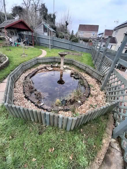 Photo of free Garden Pond (Chippenham SN15) #1