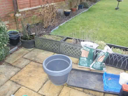Photo of free very large variety of garden plant pots (Seaton Sluice NE26) #1