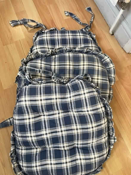 Photo of free Cushion pads x3 (B14 Kings Heath) #1