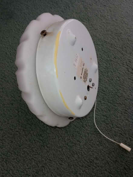Photo of free Shell wall light with pull cord (TN34 - top of Elphinstone Road) #2