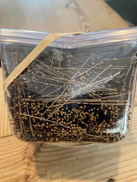 Photo of free Small Hair pins 2inch (North Bretton) #2