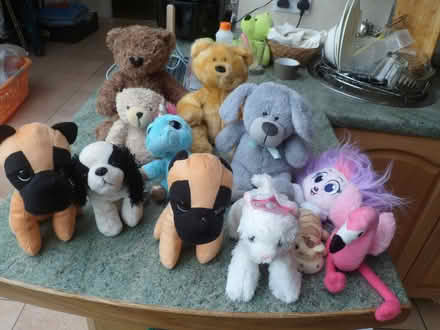 Photo of free Collection of 12+ Soft Toys (Moreton CH46) #2