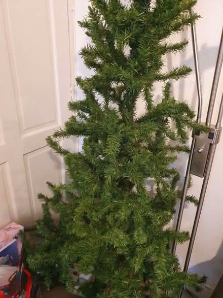 Photo of free Christmas Tree for crafts? (Tilehurst RG31) #1