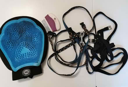 Photo of free Various cat/kitten accessories (RG4 Caversham) #1
