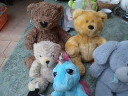 Photo of free Collection of 12+ Soft Toys (Moreton CH46) #3