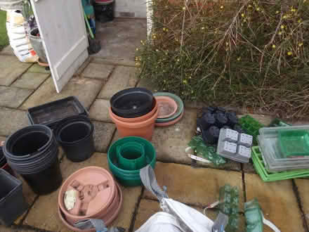 Photo of free very large variety of garden plant pots (Seaton Sluice NE26) #3