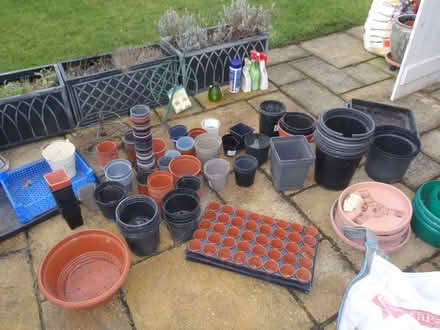 Photo of free very large variety of garden plant pots (Seaton Sluice NE26) #4