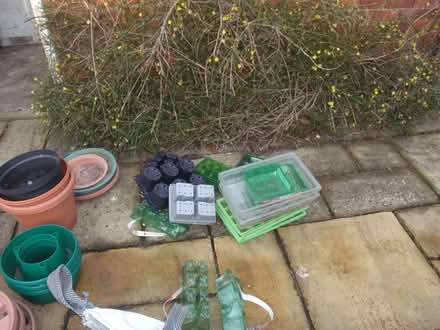 Photo of free very large variety of garden plant pots (Seaton Sluice NE26) #2