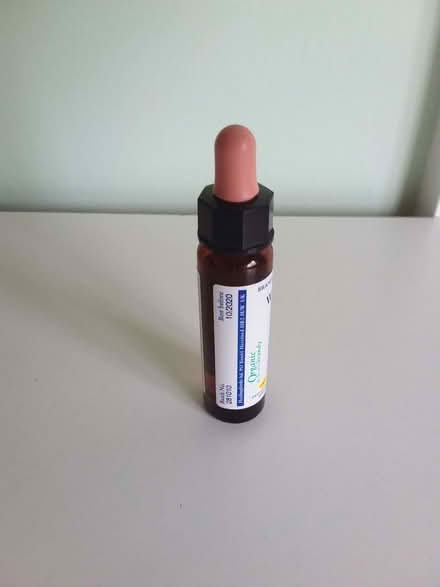 Photo of free Wild Rose flower essence past its best before of 10/2020 (Westbury Fields BS9) #4