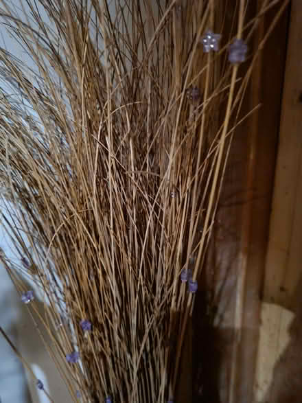 Photo of free Decorative twigs with beads (Peacehaven BN10) #1