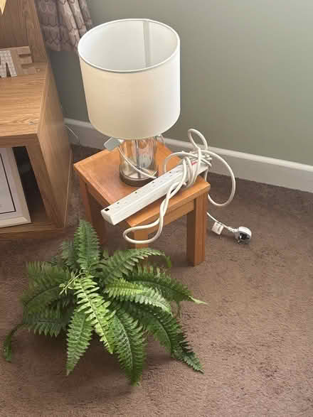 Photo of free Table,lamp,plant 4plug adapter (Ballinteer) #1