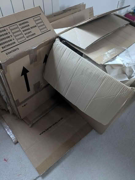 Photo of free Moving boxes (Gamblesby CA10) #1