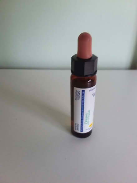 Photo of free Wild Rose flower essence past its best before of 10/2020 (Westbury Fields BS9) #2