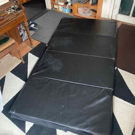 Photo of free 4x8 foot vinyl exercise mat rugs (Ann Arbor near Hillside Terr.) #2