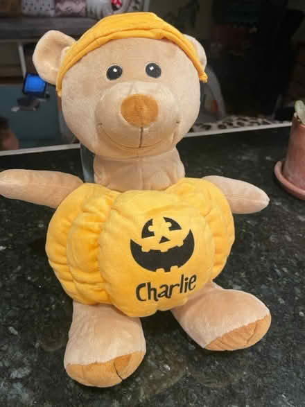 Photo of free Stuffed Animal - Never Used (South End) #1