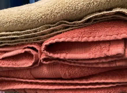 Photo of free Cotton towels (High park & Glenlake area) #1