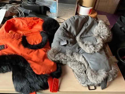 Photo of free Trappers hats (Liss Forest GU33) #1