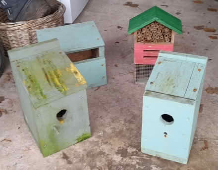 Photo of free bird & insect boxes (Elworth CW11) #1