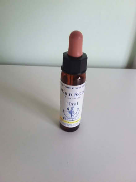 Photo of free Wild Rose flower essence past its best before of 10/2020 (Westbury Fields BS9) #1