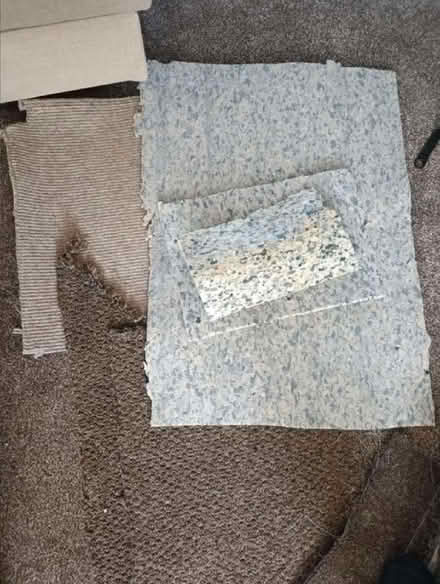 Photo of free Carpet & underlay off-cuts (Ovenden HX3) #2